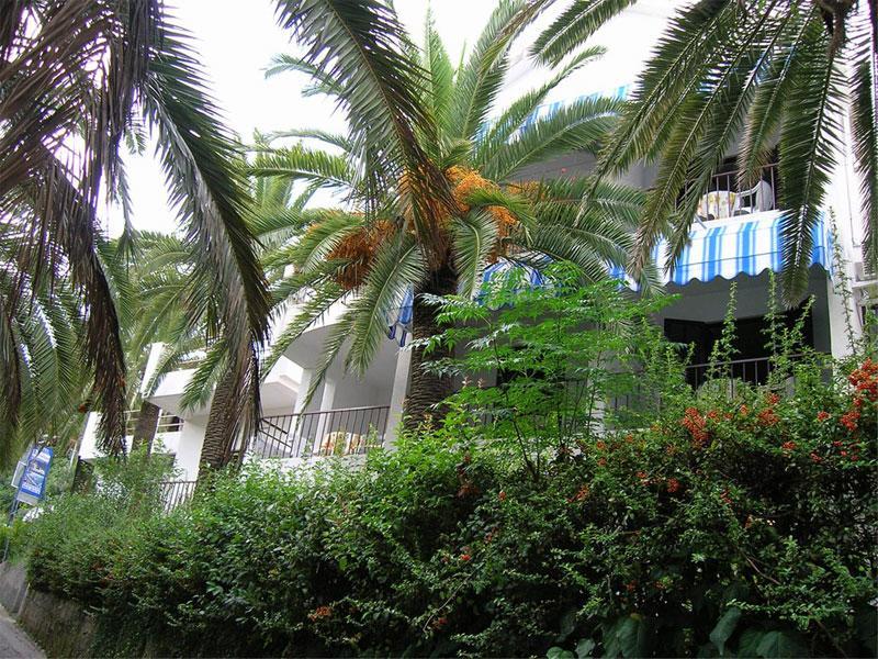 Apartmani I Sobe Goca Херцег-Новий Екстер'єр фото