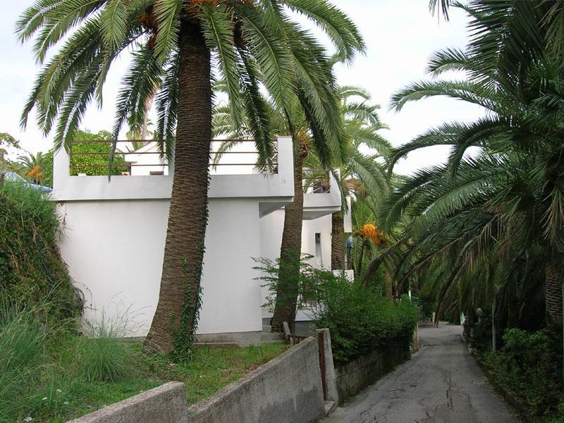 Apartmani I Sobe Goca Херцег-Новий Екстер'єр фото